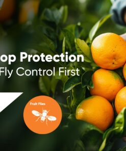 Insecticide Coragen