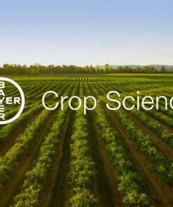 Fungicide Monceren