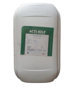 Acti Kelp