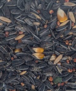 Complete Seed Parrot Mix 10Kg