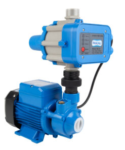 Alternative view of Pascali Pump Peripheral + Controller 0.37Kw 230V
