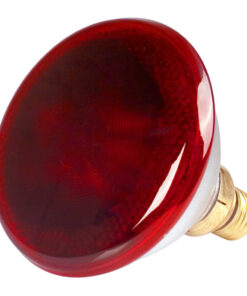 Alternative view of Poltek Lamp Infrared 175W