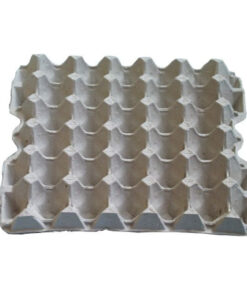 Fire Hose Reel - Fixed Mount - Plastic Nozzle