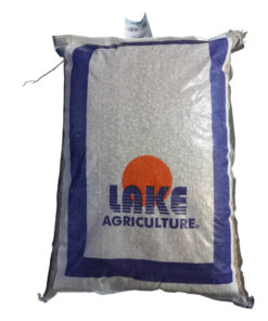 Alternative view of Lake Sugar Beans 9200 Disease Free Certified