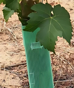Scale Weights