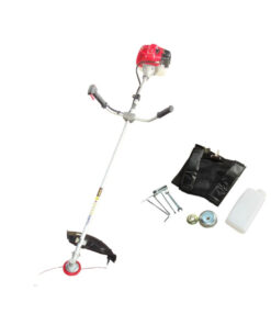 Insecticide Lontrel 100
