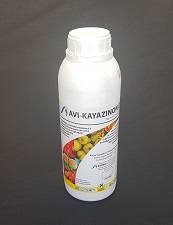 Avi-Kayazinon (1L)