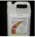 Avi-Kayazinon (5L)