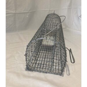 Rat Cage