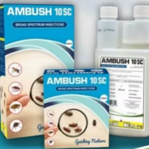 AMBUSH10 SC