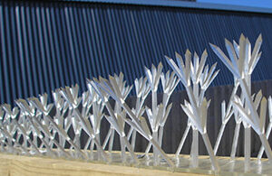 Plastic Bird Spikes, per meter
