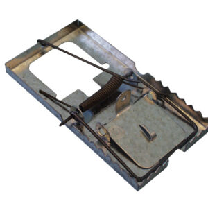MOUSE TRAP
